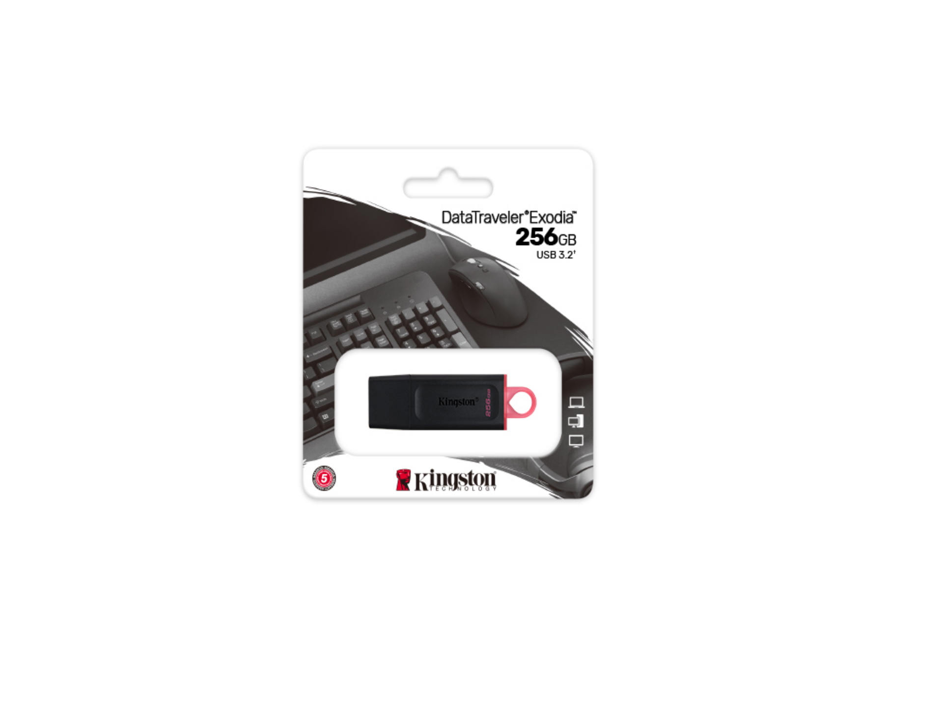 Память Kingston 256GB DTX