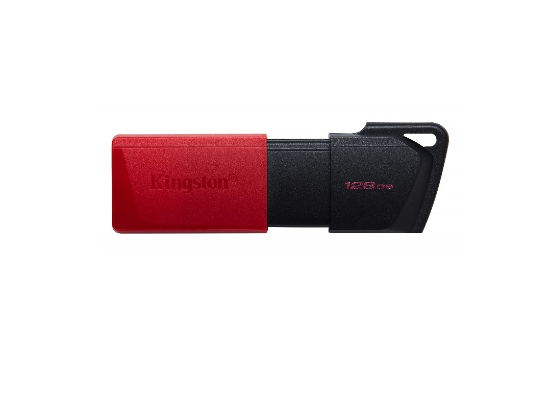 Память Kingston 128GB DTXM