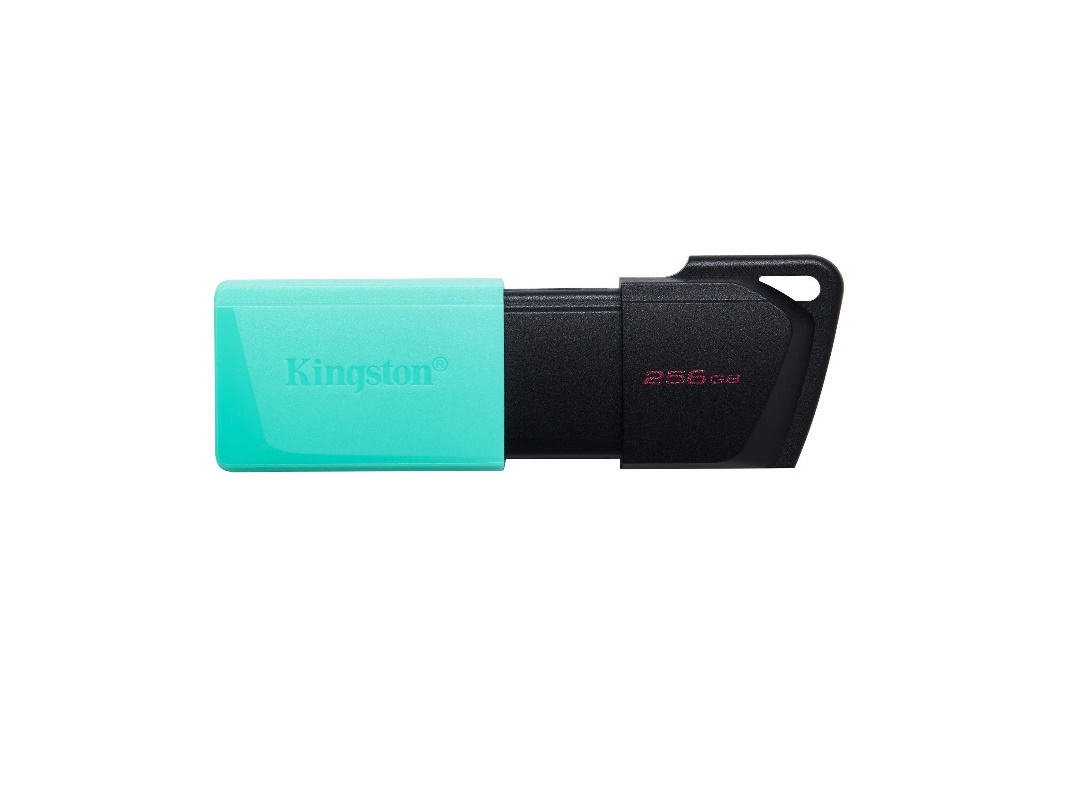 Память Kingston 256ГБ DTXM