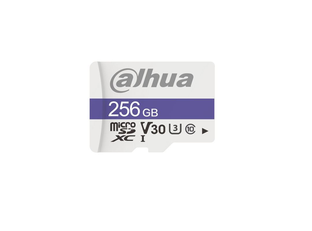 Карта памяти Dahua DHI-TF-C100-256ГБ