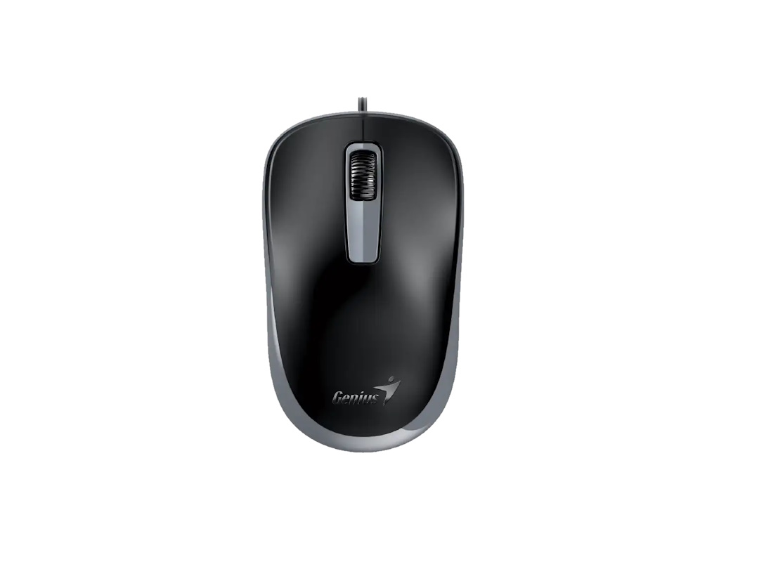 Мышь GENIUS DX-125S USB Черный+Серый