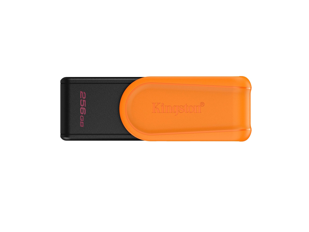 Память Kingston 256ГБ DTXS